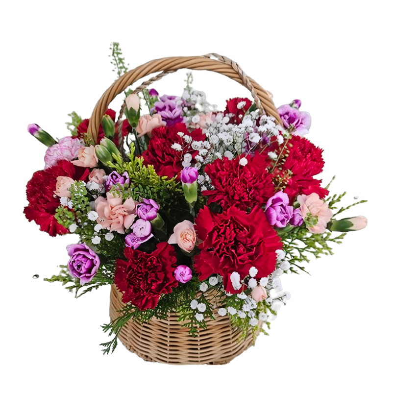 6cbc8d763f52e2695a2a836ddaa6cfbd_1778465751_1224.png