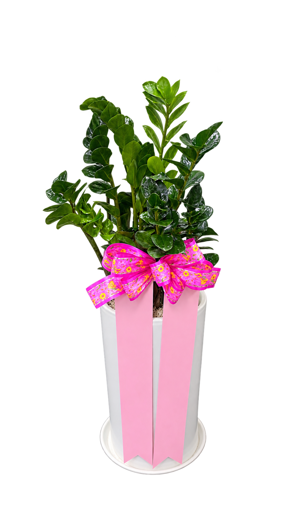 c8f8558b8d73bb2aa0997ee0c3a13c8f_1788937170_7344.png